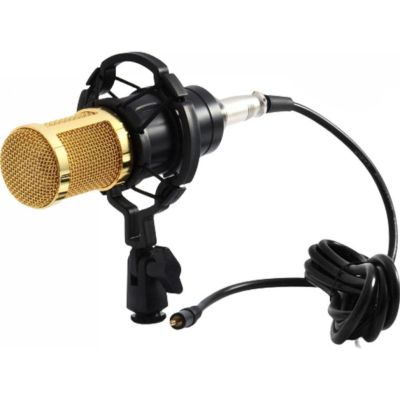 Мікрофон студійний конденсаторний Zeepin BM-800